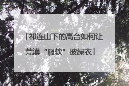 祁连山下的高台如何让荒漠“服软”披绿衣