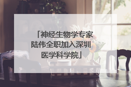 神经生物学专家陆伟全职加入深圳医学科学院