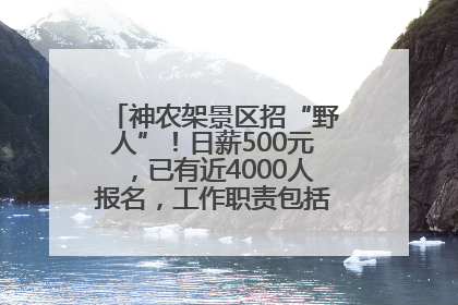 神农架景区招“野人”！日薪500元，已有近4000人报名，工作职责包括“接受游客投喂”