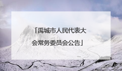 禹城市人民代表大会常务委员会公告