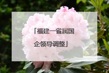 福建一省属国企领导调整