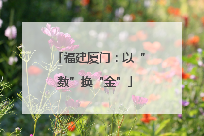福建厦门：以“数”换“金”