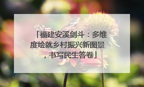 福建安溪剑斗：多维度绘就乡村振兴新图景，书写民生答卷