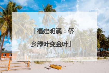 福建明溪：侨乡绿叶变金叶