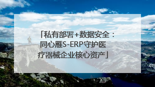私有部署+数据安全：同心雁S-ERP守护医疗器械企业核心资产