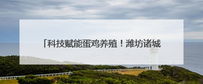 科技赋能蛋鸡养殖！潍坊诸城现代化基地年销4000万