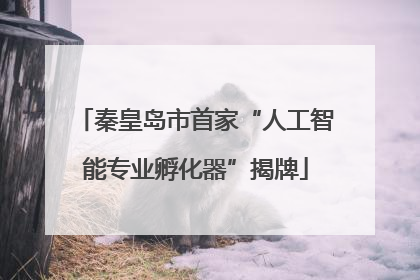 秦皇岛市首家“人工智能专业孵化器”揭牌