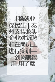 稳就业 保民生｜泰州支持龙头企业对新聘和在岗员工进行实训——到岗就能用 用了就见效
