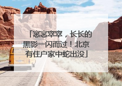 窸窸窣窣，长长的黑影一闪而过！北京有住户家中蛇出没