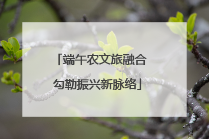 端午农文旅融合 勾勒振兴新脉络