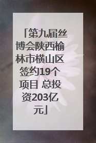 第九届丝博会陕西榆林市横山区签约19个项目 总投资203亿元
