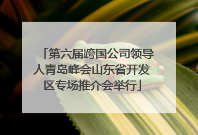 第六届跨国公司领导人青岛峰会山东省开发区专场推介会举行