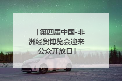 第四届中国-非洲经贸博览会迎来公众开放日