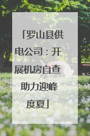 罗山县供电公司：开展机房自查 助力迎峰度夏