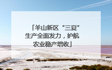 羊山新区“三夏”生产全面发力，护航农业稳产增收