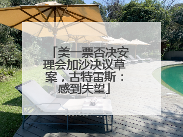 美一票否决安理会加沙决议草案，古特雷斯：感到失望