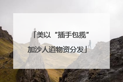 美以“插手包揽”加沙人道物资分发
