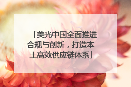 美光中国全面推进合规与创新，打造本土高效供应链体系