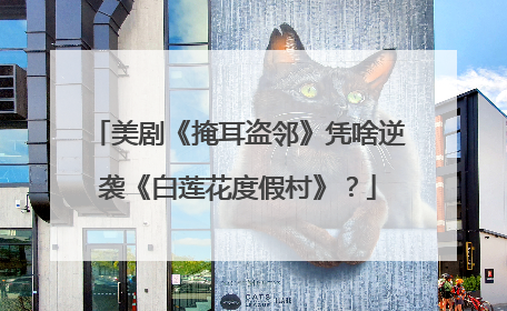 美剧《掩耳盗邻》凭啥逆袭《白莲花度假村》？