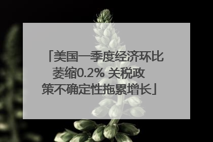 美国一季度经济环比萎缩0.2% 关税政策不确定性拖累增长