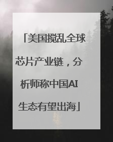 美国搅乱全球芯片产业链，分析师称中国AI生态有望出海
