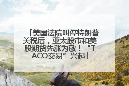 美国法院叫停特朗普关税后，亚太股市和美股期货先涨为敬！“TACO交易”兴起