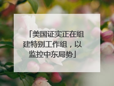 美国证实正在组建特别工作组，以监控中东局势