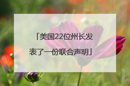 美国22位州长发表了一份联合声明
