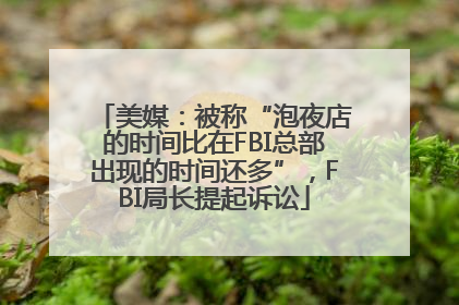 美媒：被称“泡夜店的时间比在FBI总部出现的时间还多”，FBI局长提起诉讼