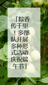 粽香传千里！多部队开展多种形式活动庆祝端午节
