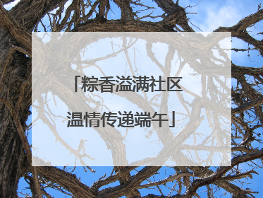 粽香溢满社区 温情传递端午