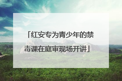 红安专为青少年的禁毒课在庭审现场开讲
