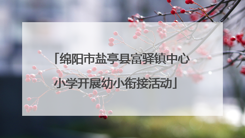 绵阳市盐亭县富驿镇中心小学开展幼小衔接活动