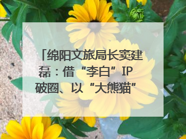 绵阳文旅局长窦建磊：借“李白”IP破圈、以“大熊猫”引流 依托科技优势绽放城市文旅魅力｜文旅局长说