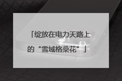 绽放在电力天路上的“雪域格桑花”