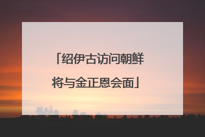 绍伊古访问朝鲜 将与金正恩会面