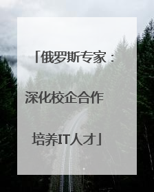 俄罗斯专家：深化校企合作 培养IT人才