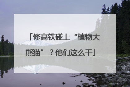 修高铁碰上“植物大熊猫”？他们这么干