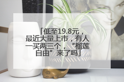 低至19.8元，最近大量上市，有人一买两三个，“榴莲自由”来了吗