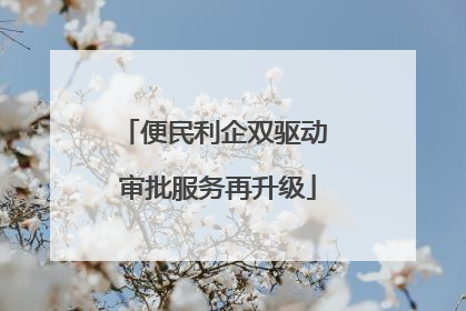 便民利企双驱动 审批服务再升级