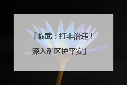 临武：打非治违！深入矿区护平安