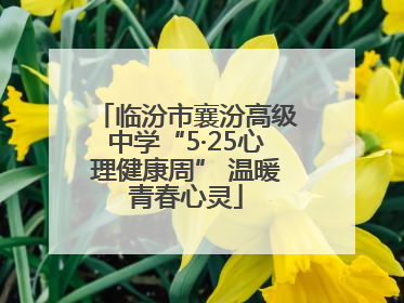 临汾市襄汾高级中学“5·25心理健康周” 温暖青春心灵