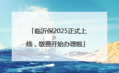 临沂保2025正式上线，缴费开始办理啦