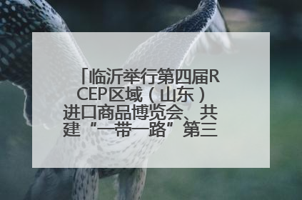 临沂举行第四届RCEP区域（山东）进口商品博览会、共建“一带一路”第三届临沂商城国际采购商大会新闻发布会