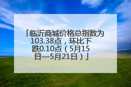 临沂商城价格总指数为103.38点，环比下跌0.10点（5月15日—5月21日）