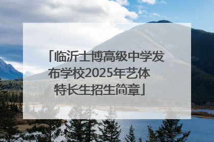 临沂士博高级中学发布学校2025年艺体特长生招生简章