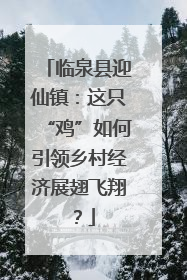 临泉县迎仙镇：这只“鸡”如何引领乡村经济展翅飞翔？