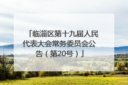 临淄区第十九届人民代表大会常务委员会公告（第20号）