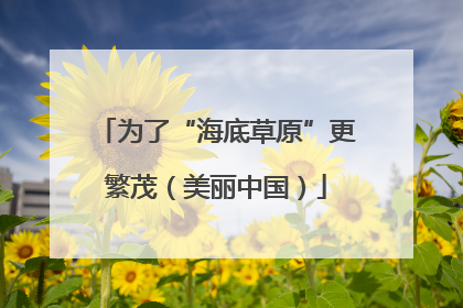 为了“海底草原”更繁茂（美丽中国）