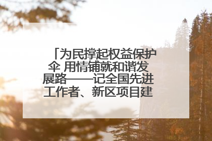 为民撑起权益保护伞 用情铺就和谐发展路——记全国先进工作者、新区项目建设中心干部卢小勇